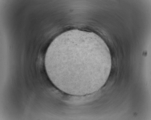 X0000100420037200807032112