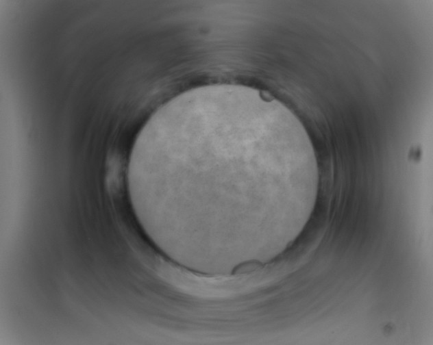 X0000100420038200807032112