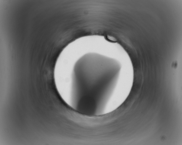 X0000100420039200807032112