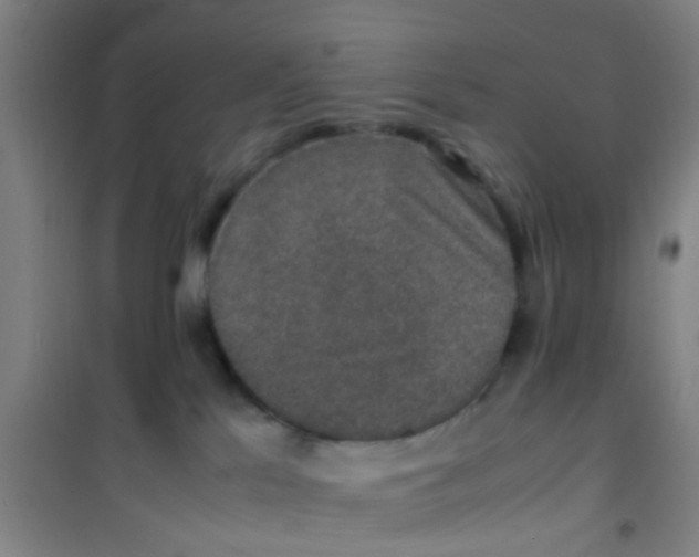 X0000100420041200807032112