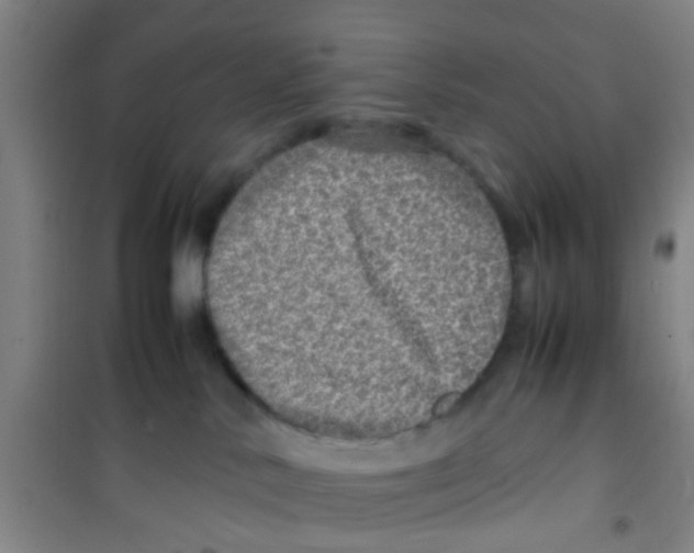 X0000100420042200807032112