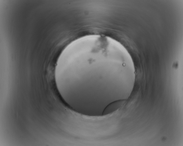 X0000100420043200807032112