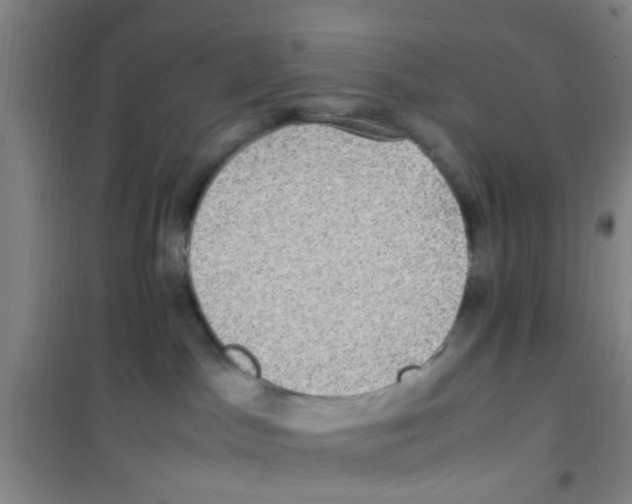 X0000100420045200807032112