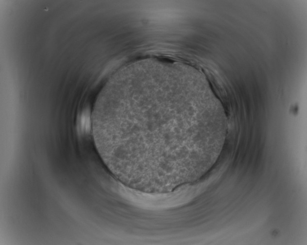 X0000100420046200807032112