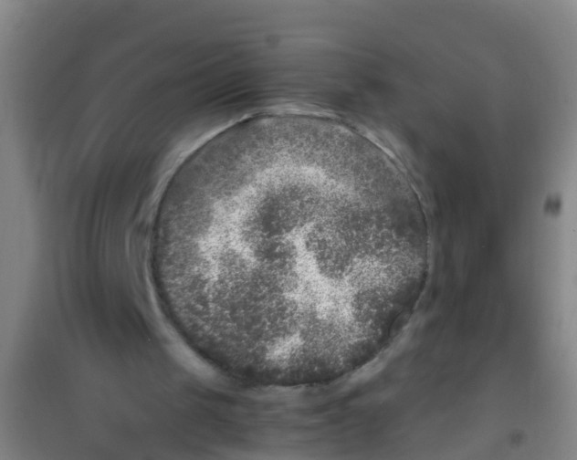 X0000100420049200807032111