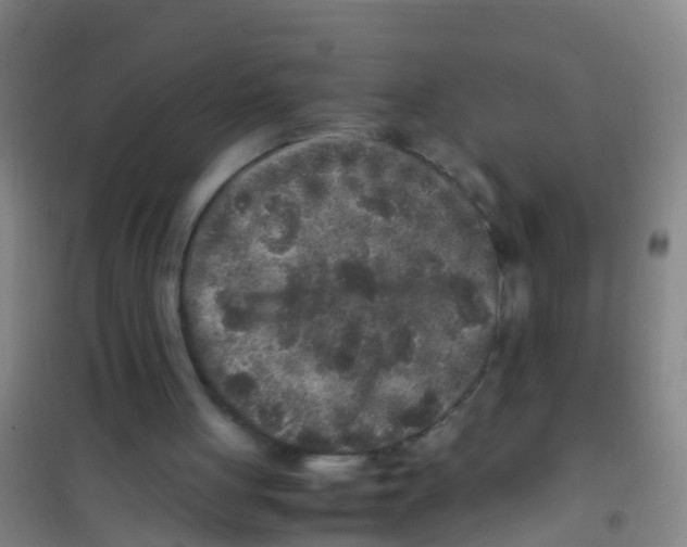 X0000100420051200807032111