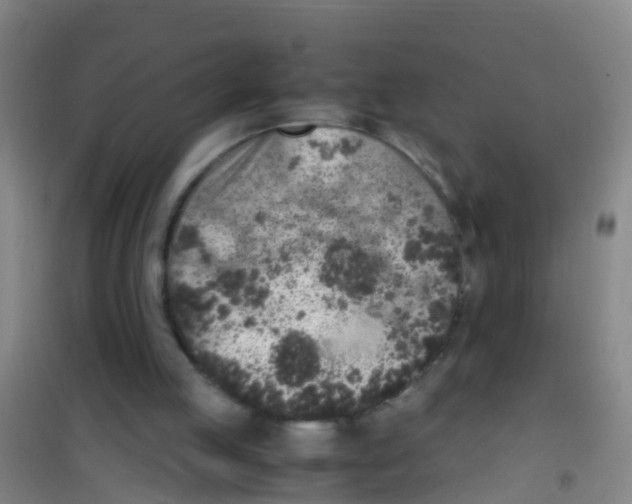 X0000100420053200807032111