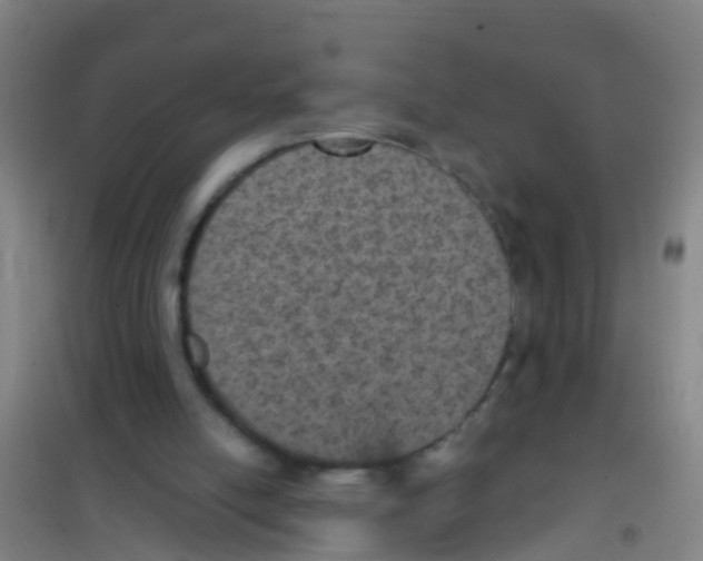 X0000100420054200807032111