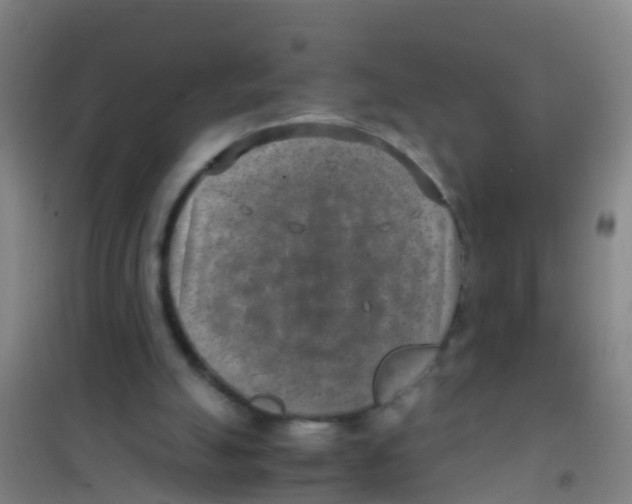 X0000100420055200807032111