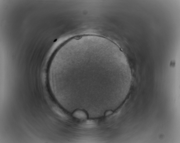 X0000100420056200807032111