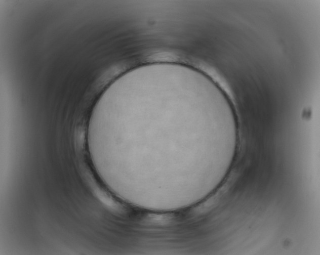 X0000100420057200807032111