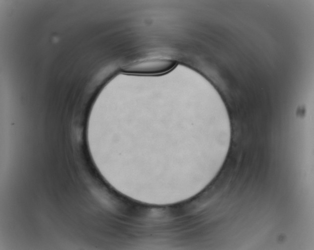 X0000100420060200807032111