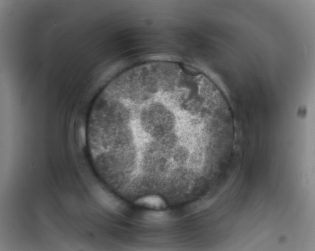 X0000100420061200807032111