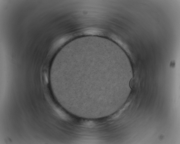 X0000100420062200807032111