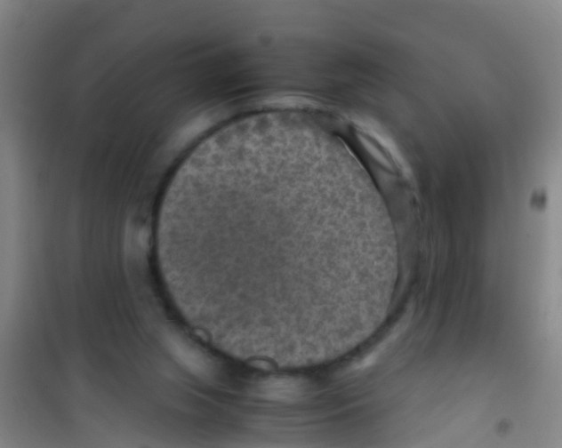 X0000100420063200807032111