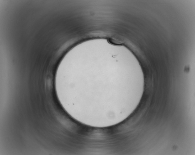 X0000100420064200807032111