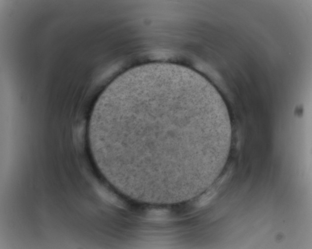 X0000100420066200807032111