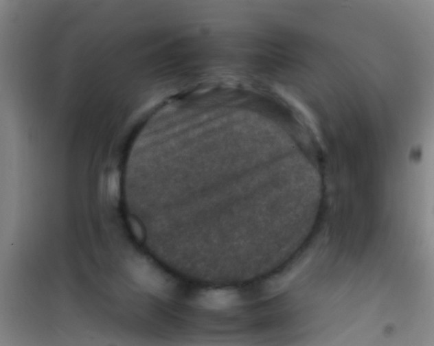 X0000100420067200807032111