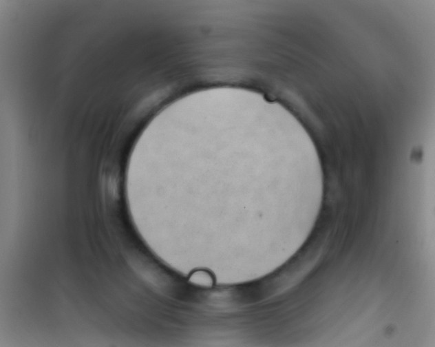 X0000100420068200807032111