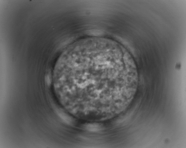 X0000100420069200807032111