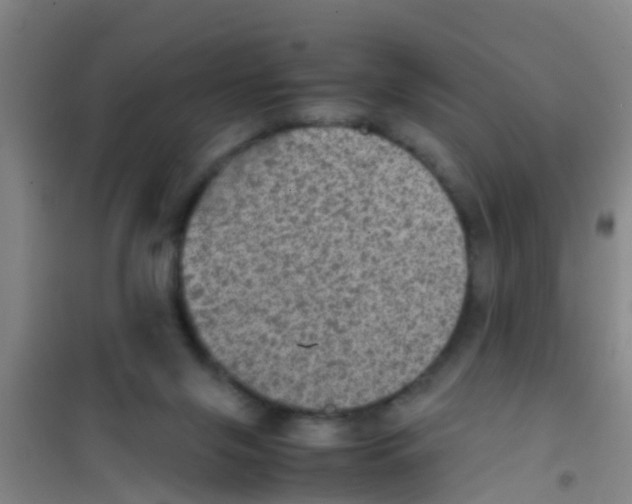 X0000100420071200807032111