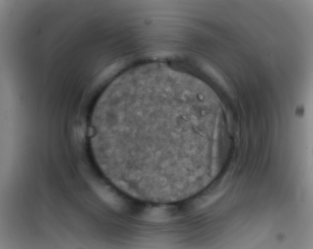 X0000100420072200807032111