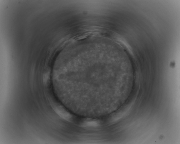 X0000100420073200807032111