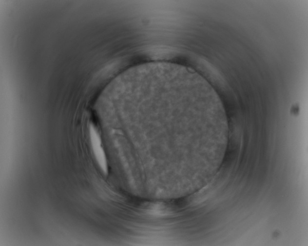 X0000100420074200807032111