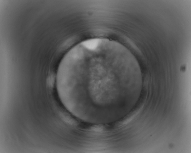 X0000100420076200807032111