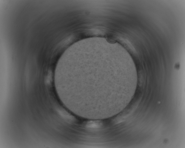 X0000100420077200807032111