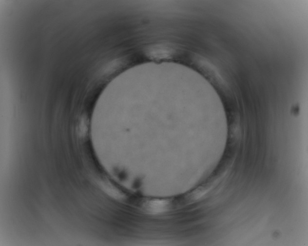 X0000100420081200807032112