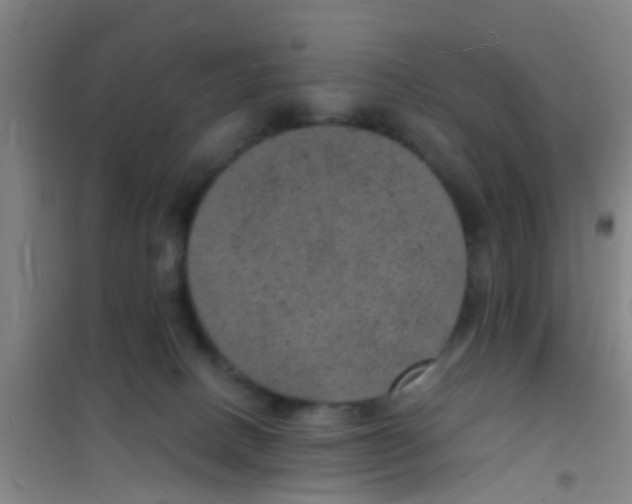 X0000100420082200807032112