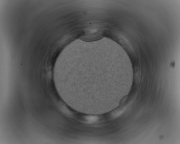 X0000100420085200807032112