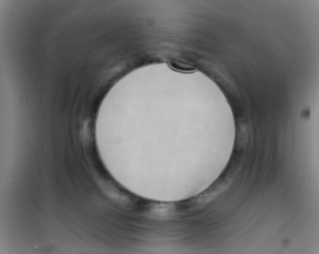 X0000100420088200807032112