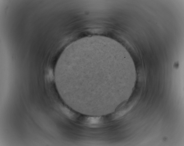 X0000100420089200807032112