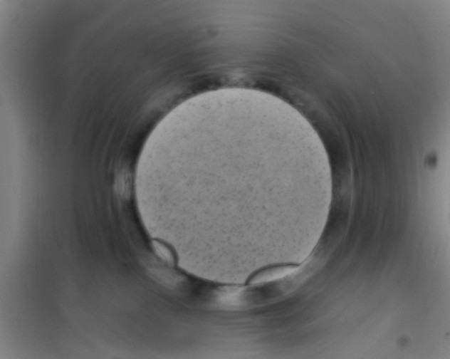 X0000100420090200807032112