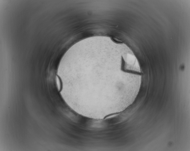 X0000100420093200807032112