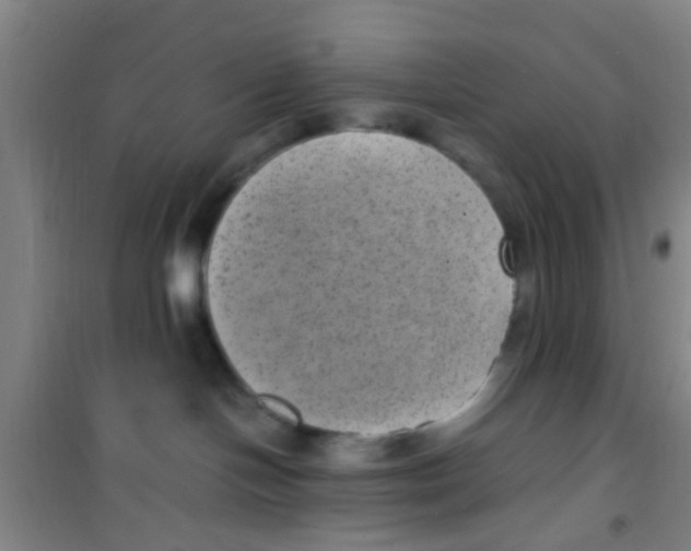 X0000100420094200807032112