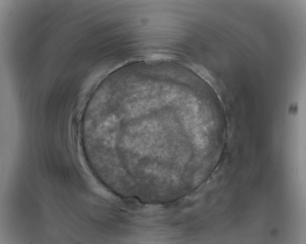 X0000100420097200807032111