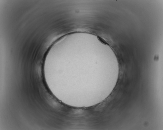 X0000100420098200807032111