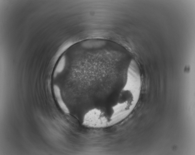 X0000100420099200807032111