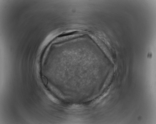 X0000100420101200807032111