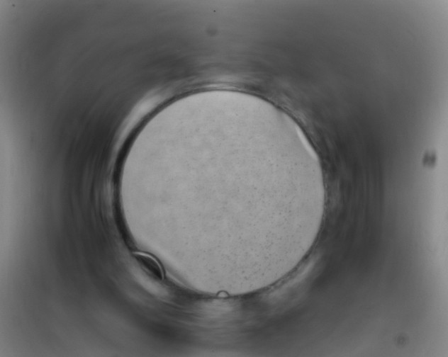 X0000100420102200807032111