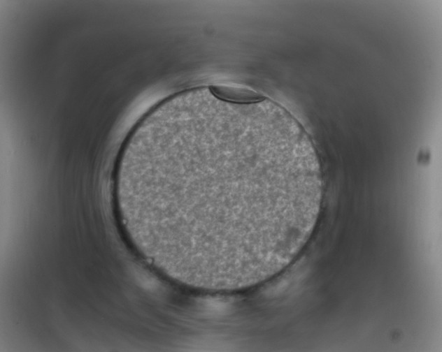 X0000100420103200807032111