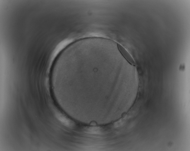 X0000100420104200807032111