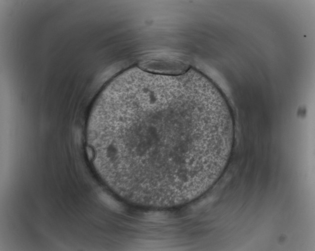 X0000100420105200807032111