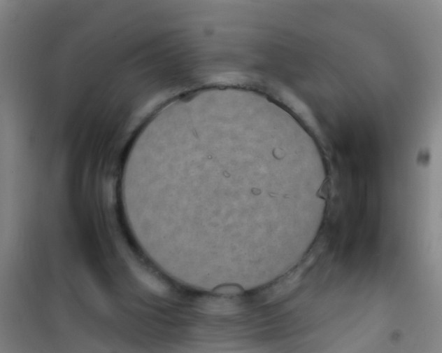 X0000100420106200807032111