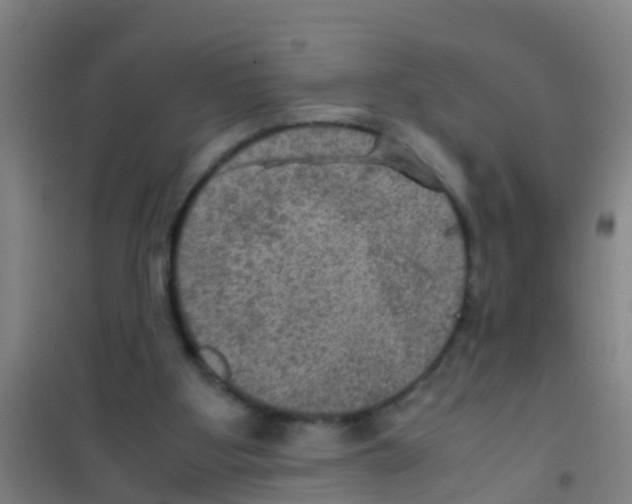 X0000100420107200807032111