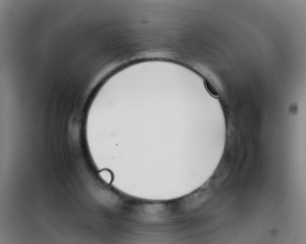 X0000100420108200807032111