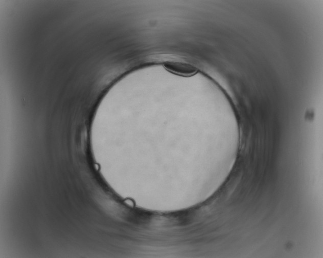 X0000100420109200807032111